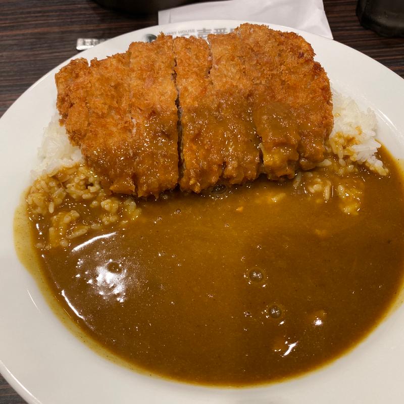 手仕込とんかつカレー(CoCo壱番屋 博多区中洲店 （ココイチバンヤ）)