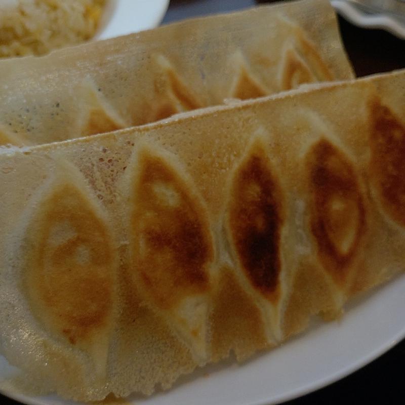 焼き餃子(你好 (ニーハオ) 本店)