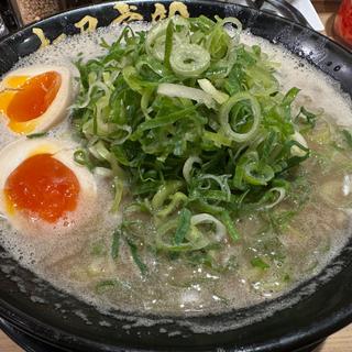 とんこつネギまつり