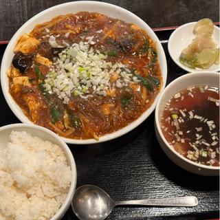 麻婆春雨定食(辛口)(龍花 （ロンファー）)