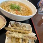 ごぼてんうどん(麺や ほり野 麺工房、ほり野のカレーパン)