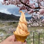 あんずソフト(あんずの里上平展望台 花さか村)