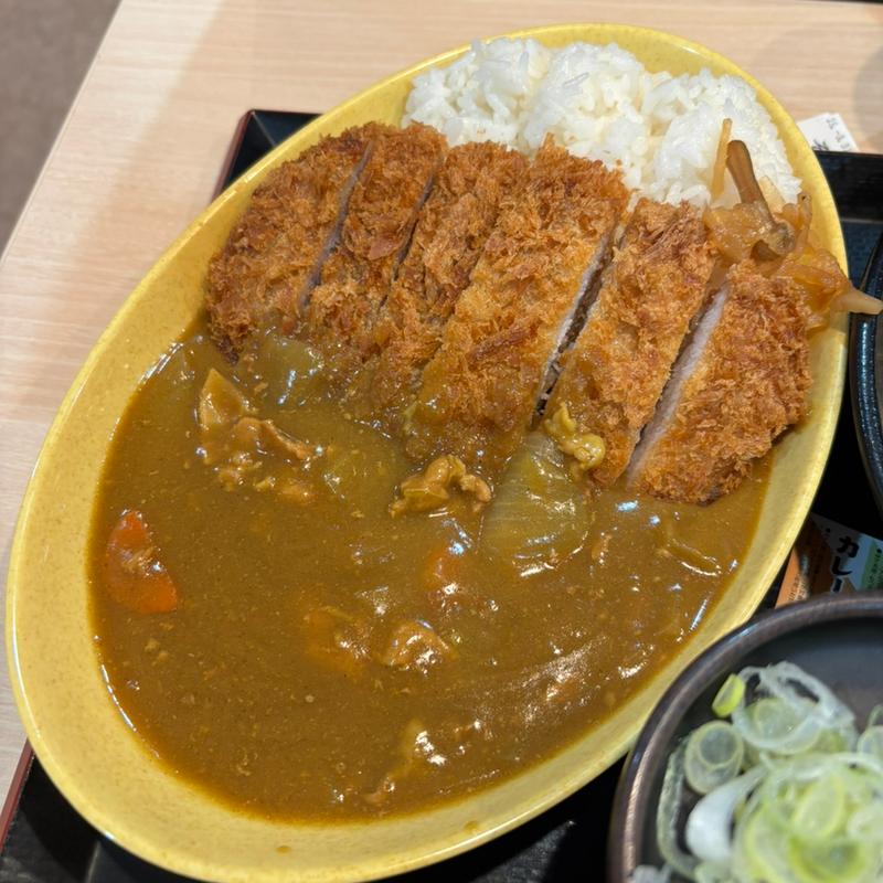 満腹カツカレーセット(ゆで太郎 もつ次郎 50号佐野越名町店)