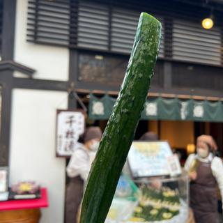 さわやかレモン胡瓜