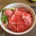 本鮪中トロ丼(大遠会館 まぐろレストラン )