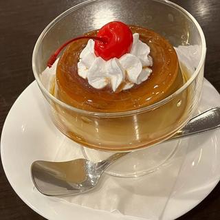 レトロプリン