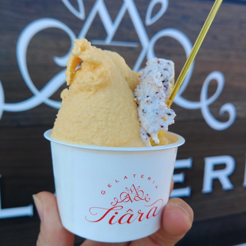 南部一郎かぼちゃ(ジェラテリア ティアーラ)