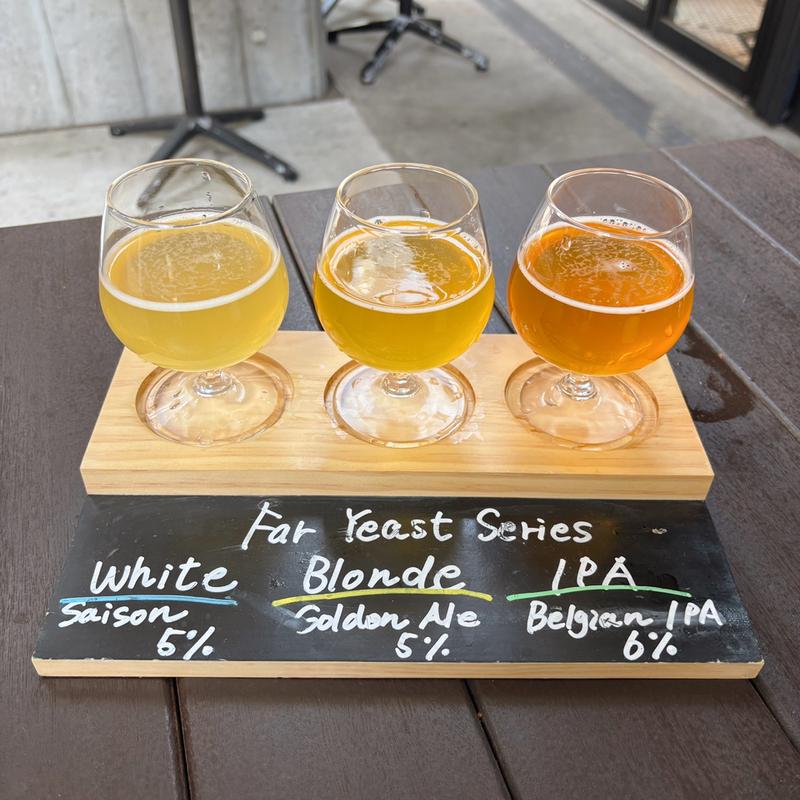 Far Yeast 3種飲み比べセット(Far Yeast Tokyo Brewery & Grill)