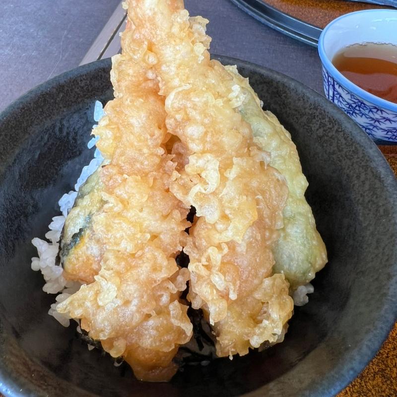 ミニ天丼(下松SA (上り) レストラン旬鮮美味)