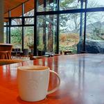 ドリップコーヒー(スターバックスコーヒー 京都宇治平等院表参道店)