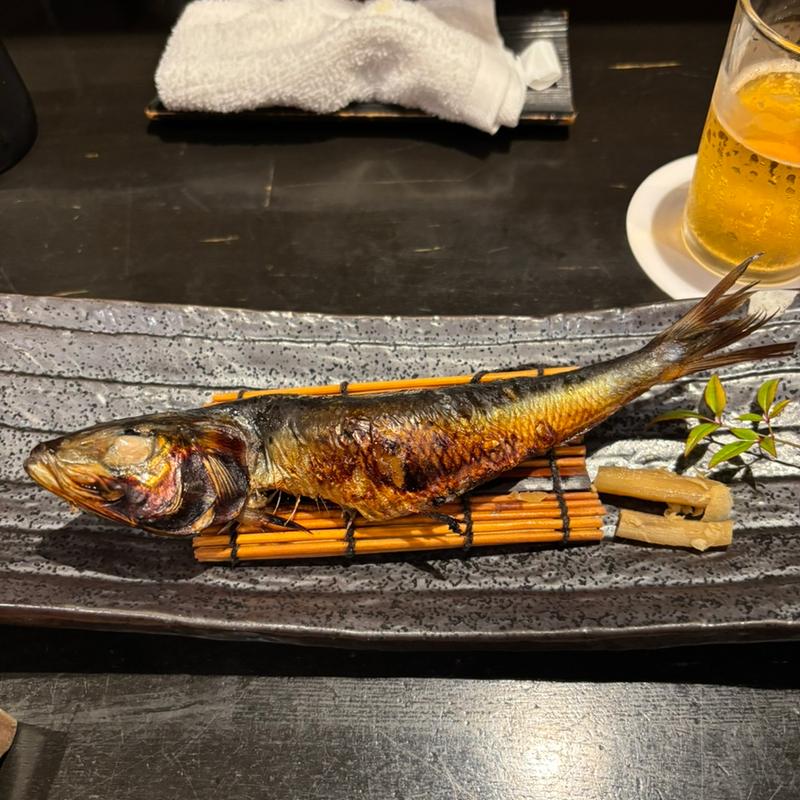 イワシ(魚菜 由良 2号店 （ユラ）)