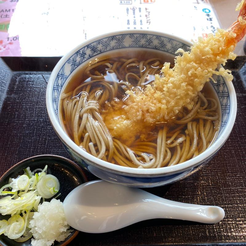 天ぷらそば(手打そば はなと 本店 )