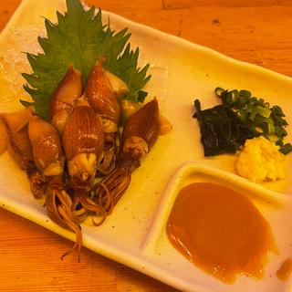 ホタルイカ