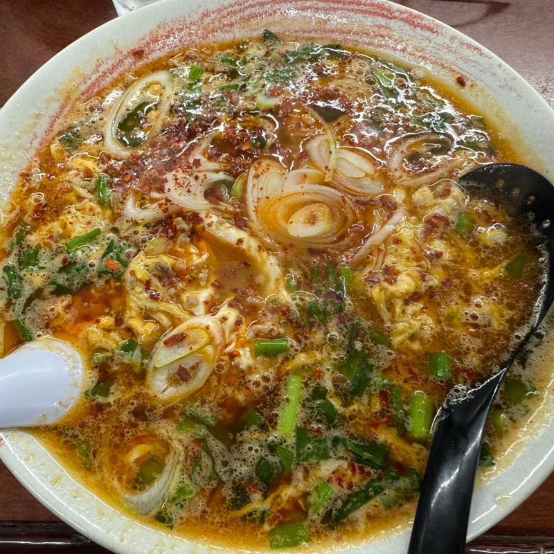 ニュータンタン麺（2025/4限定）(どさん子 亀有南口店)