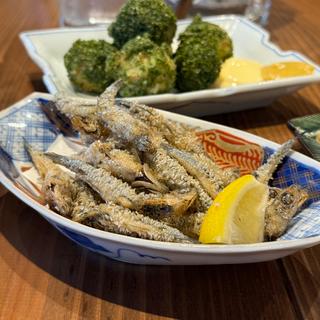 とんごろいわしの唐揚げ(藁と瓶 赤星カツヲ)