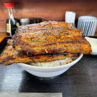 うな丼 ダブル ご飯大盛(丸富)
