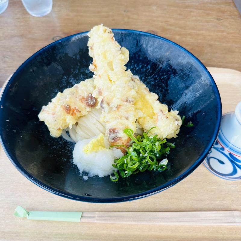 竹輪おろしのおうどん(麺処 ちゅるちゅる)