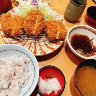 熟成ヘレカツ膳