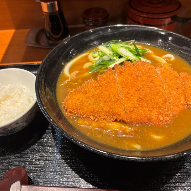カツカレーうどん(数量限定)(手作りうどん讃岐 天粉盛)