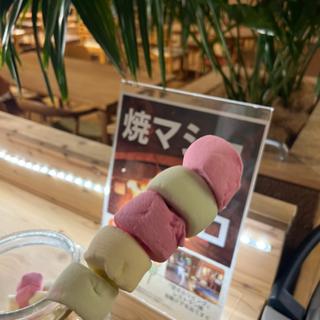 焼きマシュマロ(ロッジ舞洲 )
