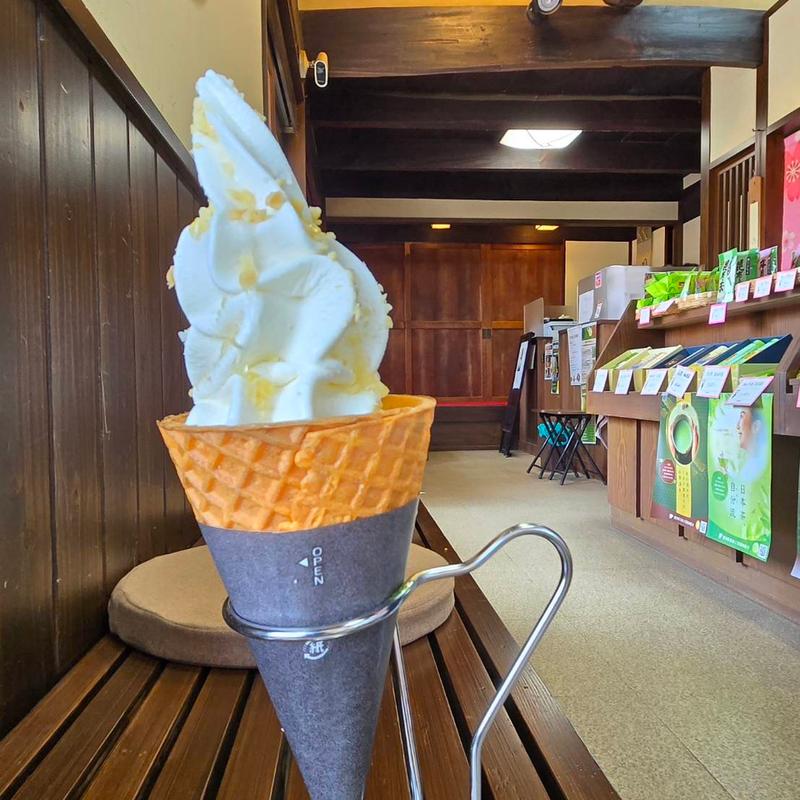 茶のみオイル塩ソフトクリーム(賓水園)