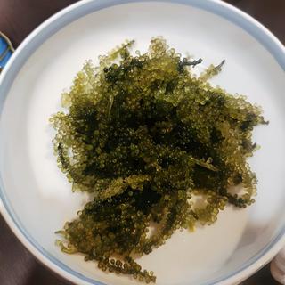 海ぶどう(居酒屋久茂地 )