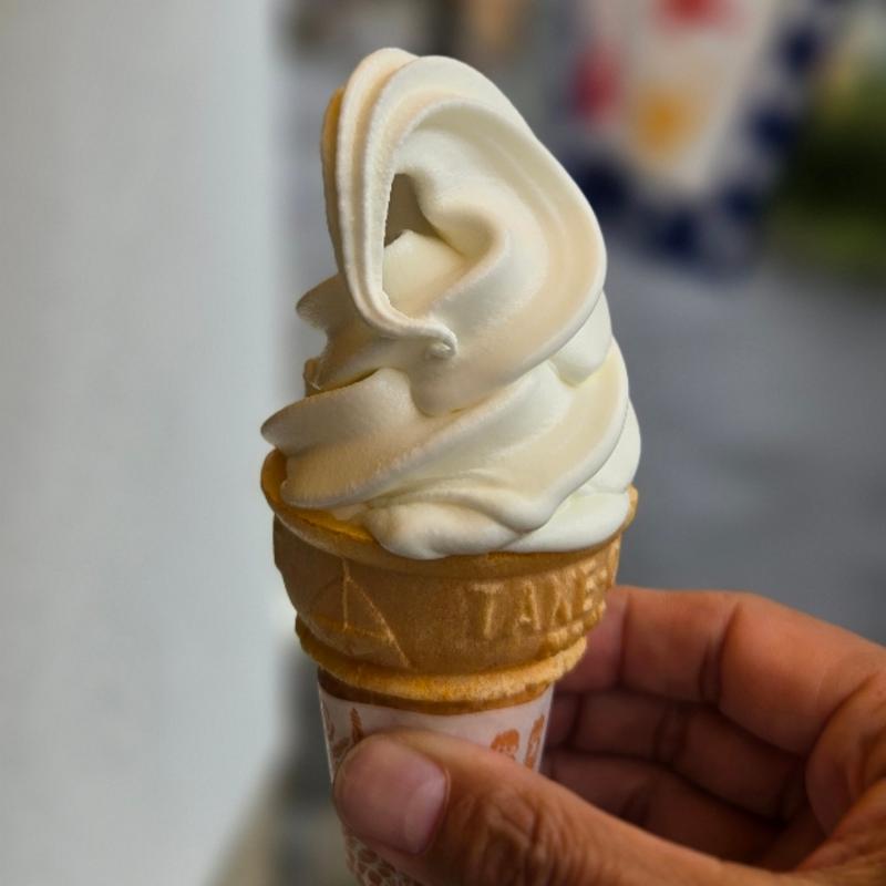 ソフトクリーム(冷菓 鈴木商店)