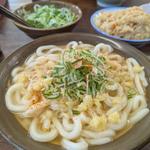 素うどん かしわ飯