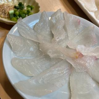 カワハギの刺身(月乃家 寿司)