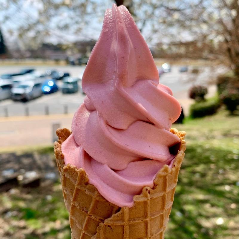 とちあいかソフトクリーム(那須高原SA)