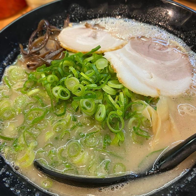 並ラーメン ネギ盛り(らーめん竹ちゃん 久保田店)