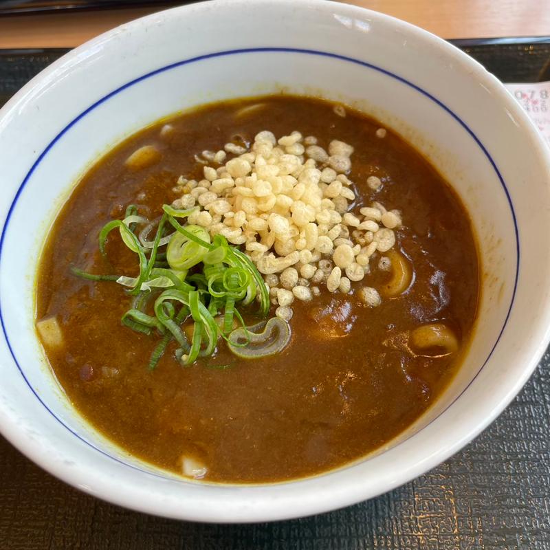 和風カレーうどん(なか卯 中原街道上白根店 )