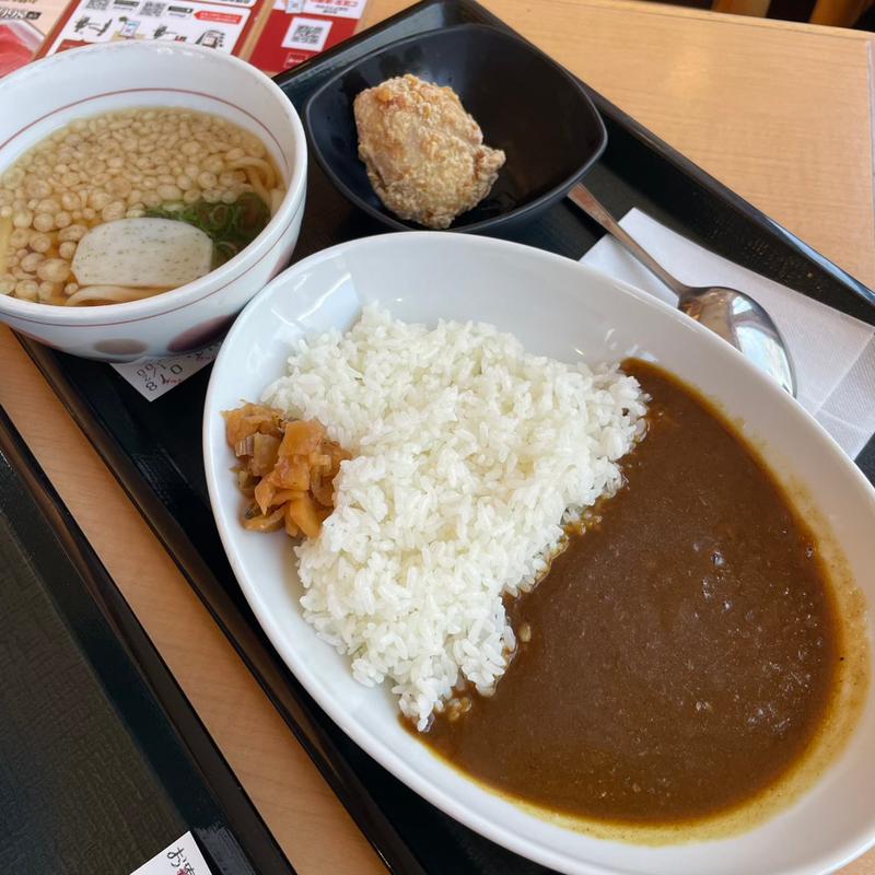 和風カレー(なか卯 中原街道上白根店 )