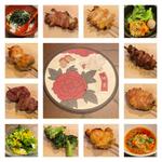 おまかせコース(CHIBA PLUS+)