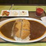 とんかつカレー　2色