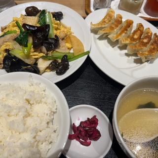 キクラゲ炒め定食：餃子(ラーメン餃子館 小次郎 歌舞伎町店)