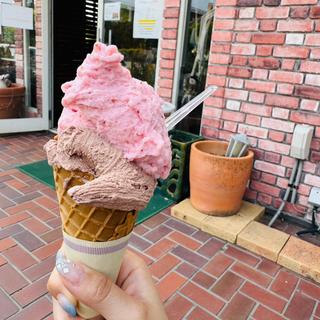 ジェラートダブル(カフェレストラン ポッシュ)