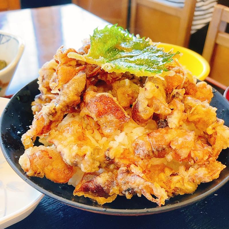 ホタルイカ天丼(魚食堂たわら )