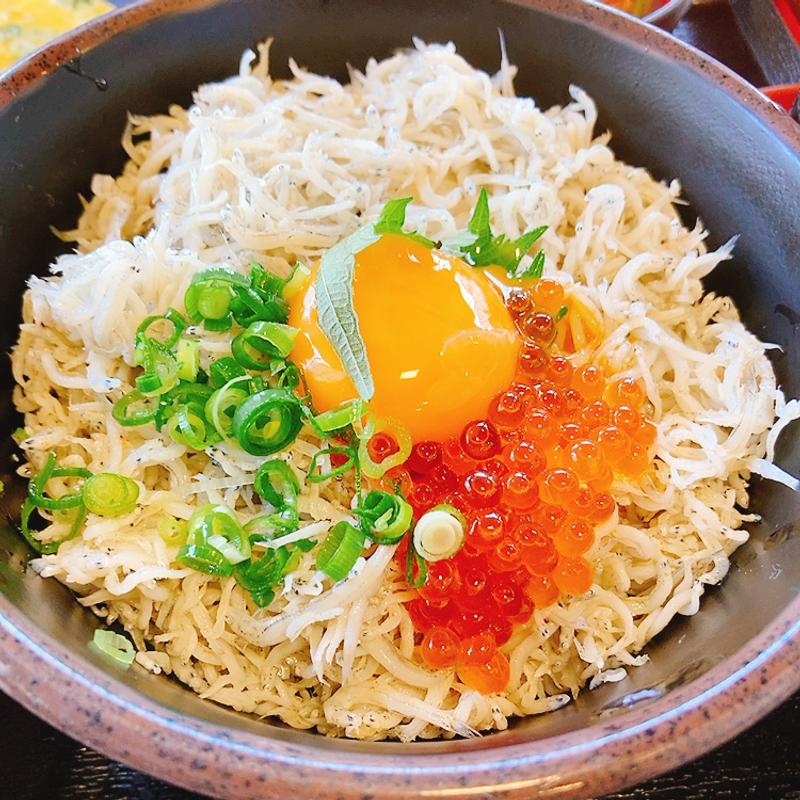 釜揚げしらす丼(魚食堂たわら )