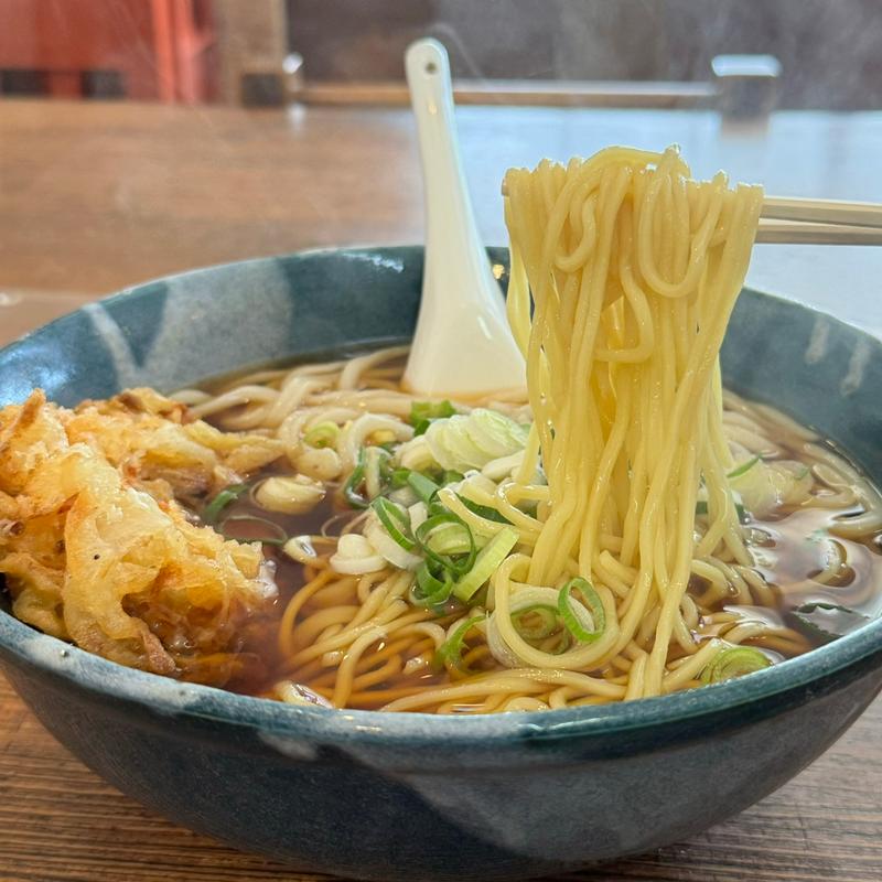 うどん中華ミックス(大) かきあげトッピング(長命うどん 南陽町店)