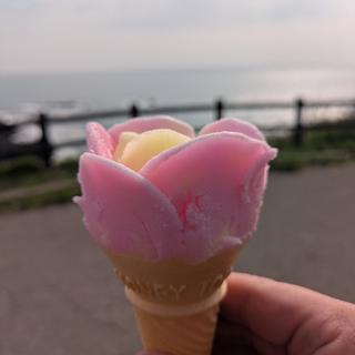 ババヘラアイス(ババヘラアイス （進藤冷菓）)