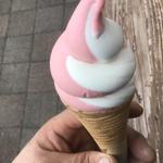 はちや　ソフトクリーム　ミックス(バウムクーヘン工房 はちや （HACHIYA）)