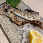 たちうおの焼魚(呑喰屋 おもて)