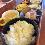 日替わりランチ