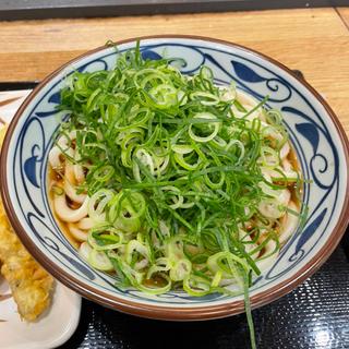 ぶっかけうどん 大(丸亀製麺川崎ルフロン)