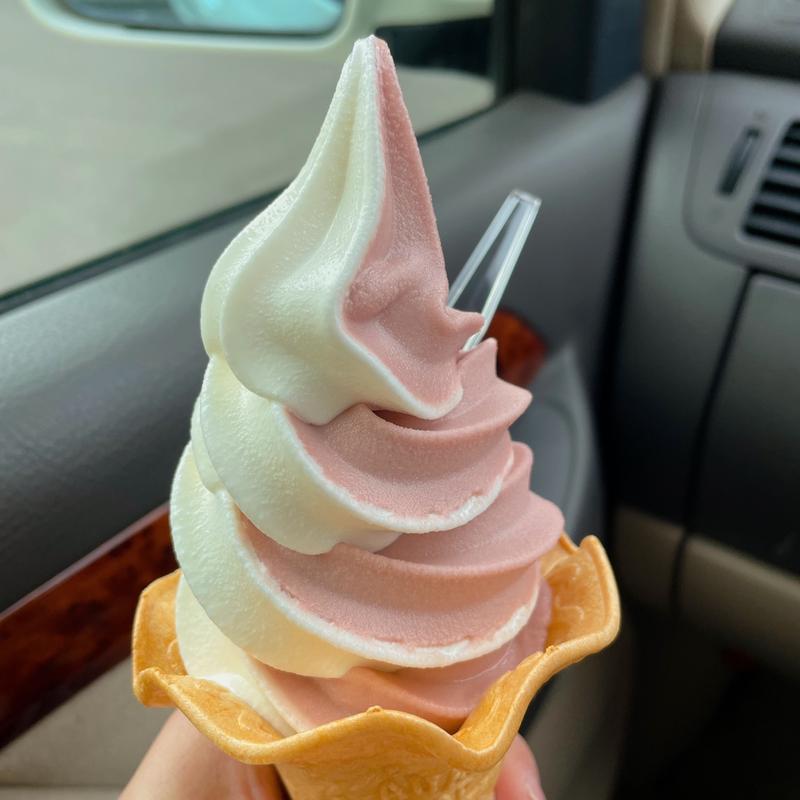 季節のソフトクリーム(ICHIE　Flower&Sweets （イチエフラワーアンドスィーツ）)