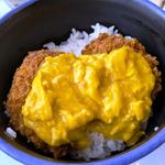 ヒレカツ玉子丼(小)