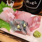 刺身四点盛り(jin-bay)
