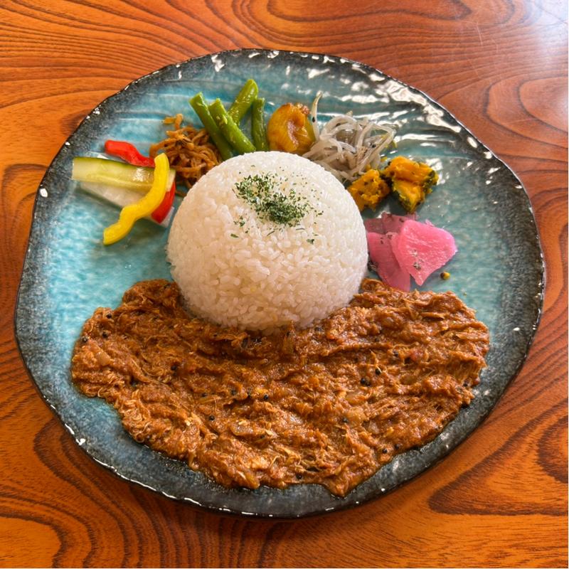 1種盛り 無水チキンカレー(スパイスカレー・クイーン)