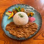 1種盛り 無水チキンカレー